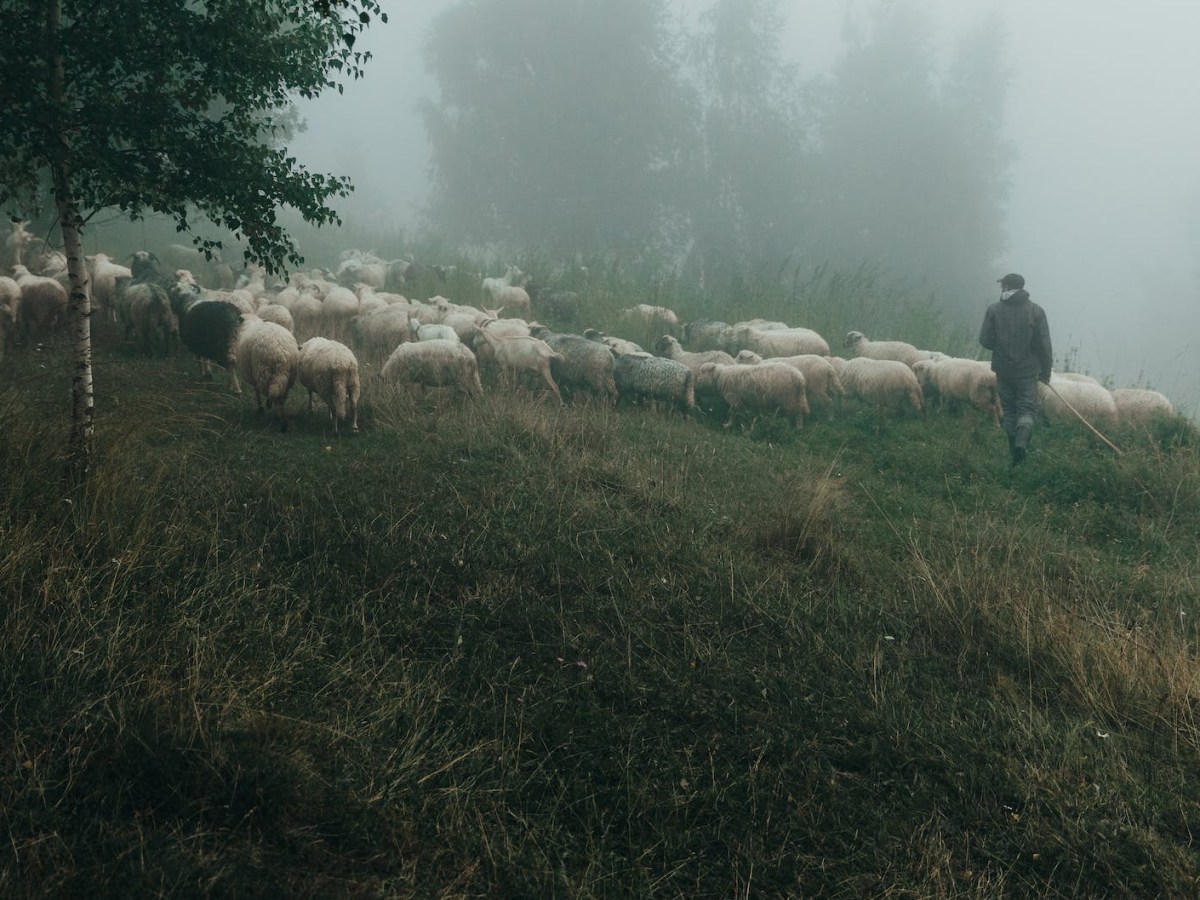 Humility Toward One&nbsp;Another